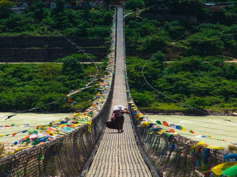 Rimso Standard Tour - Southern India