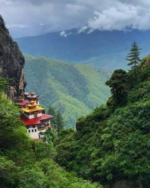 Rimso Standard Tour - Southern India