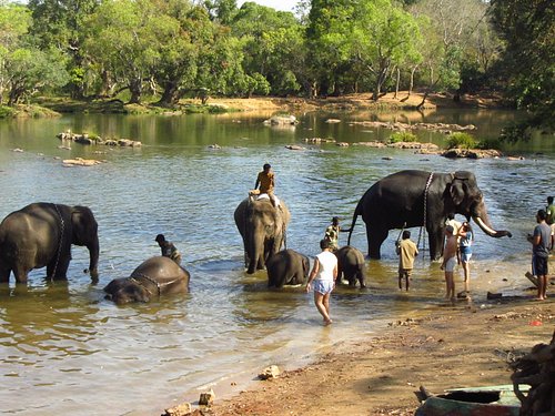 Bangalore - Mysore - Coorg Tour