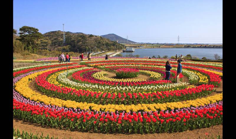 3 Nights 4 Days Tour From Srinagar