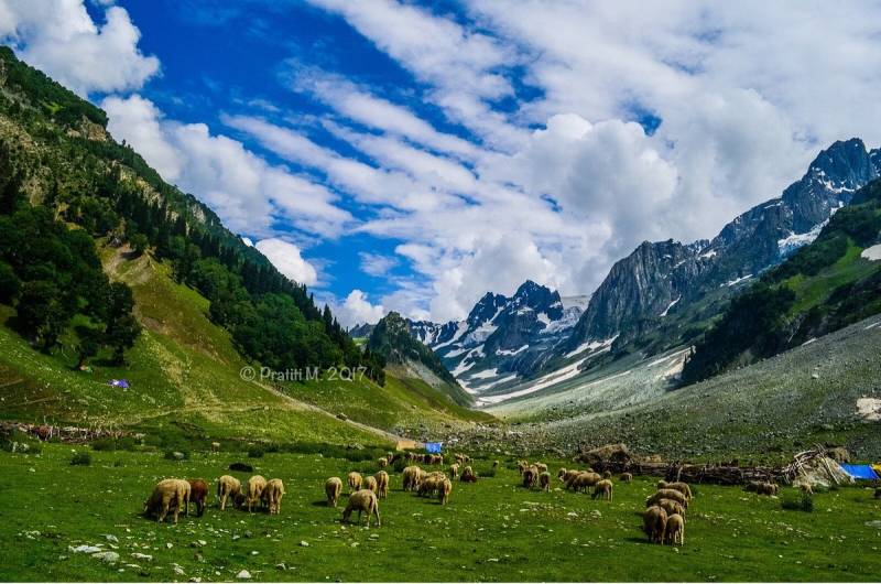 Kashmir Tour For 5 Days
