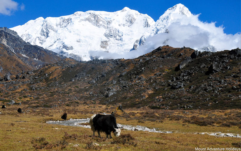 Kanchenjunga Trek