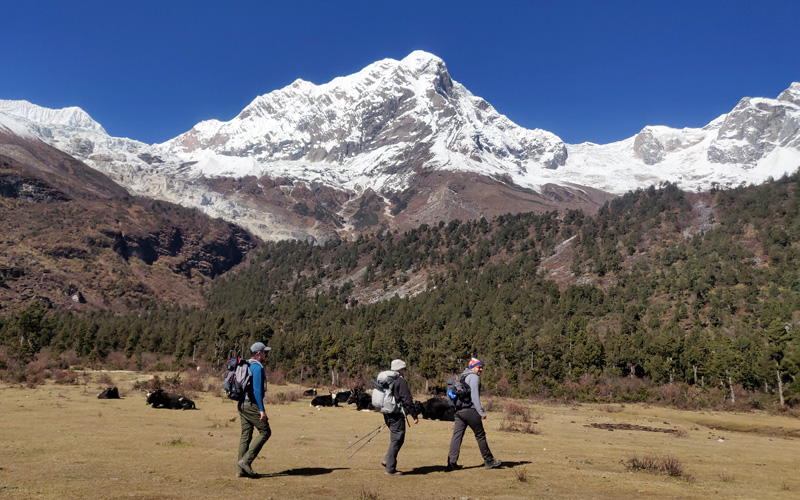 Manaslu Circuit Trek