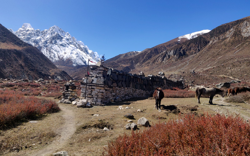 Manaslu Circuit Trek