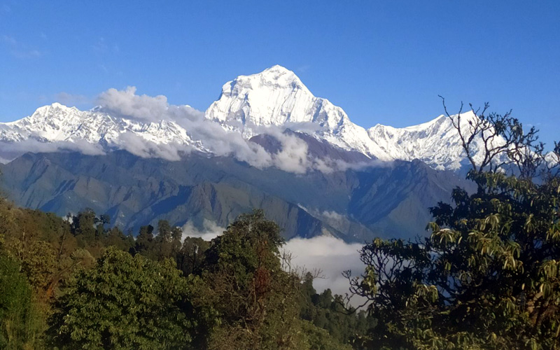 Muldai, Poon Hill & Mohare Trek