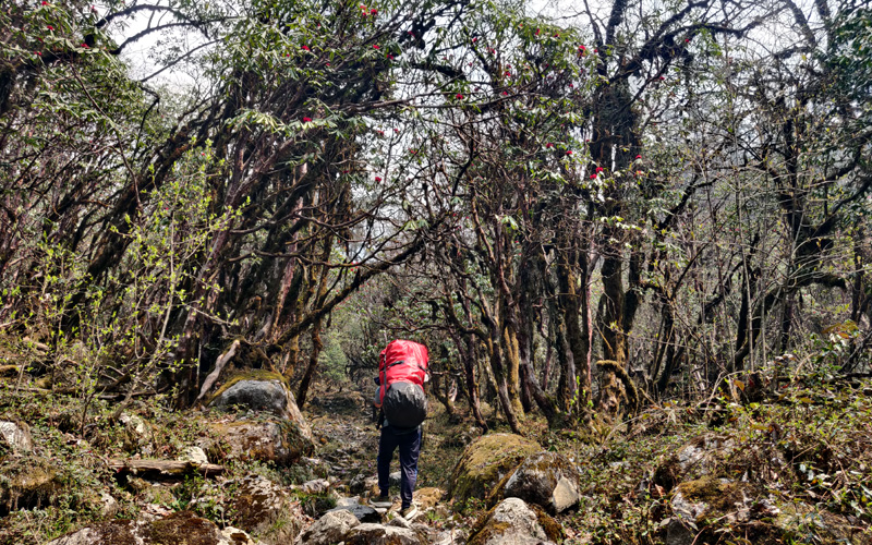 Muldai, Poon Hill & Mohare Trek