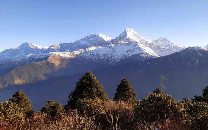 Annapurna View Trek