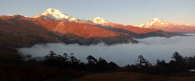 Annapurna View Trek