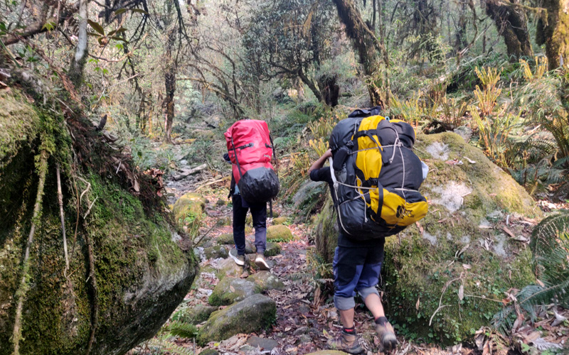 Lumba Sumba Pass Trek Tour