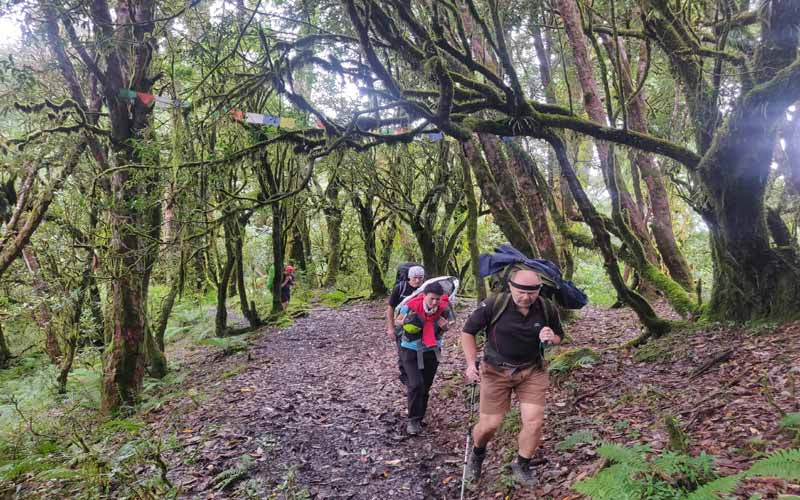 Khopra Danda Trek Tour