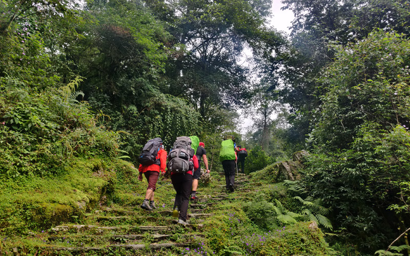 Khopra Danda Trek Tour