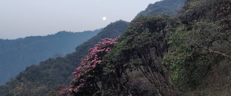 Khopra Danda Trek Tour