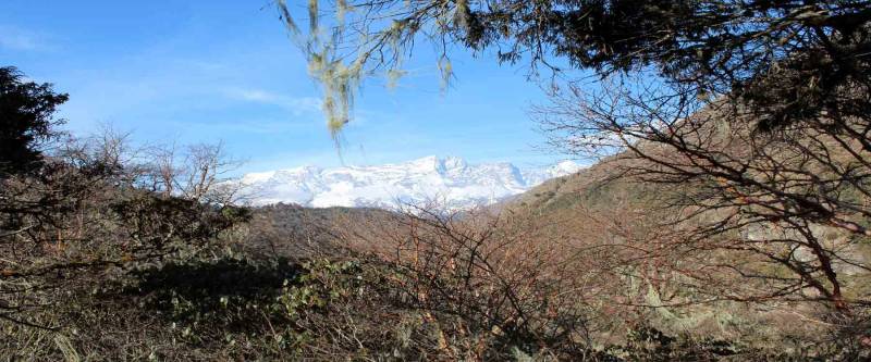 Khopra Danda Trek Tour