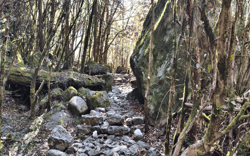 Tengkoma Peak Climbing