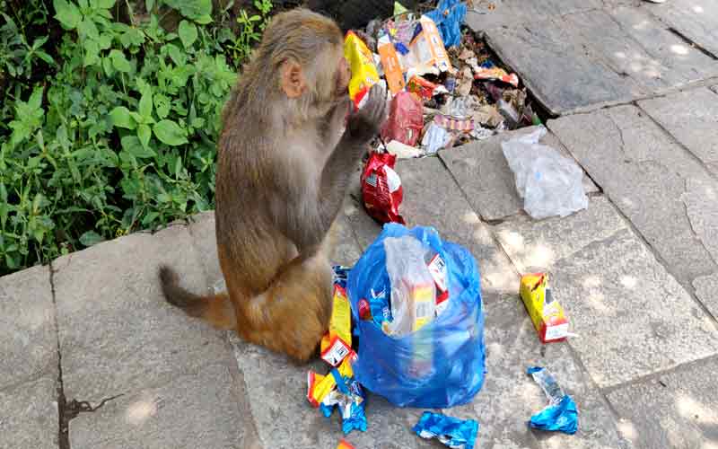 Nepal Kathmandu City Tour