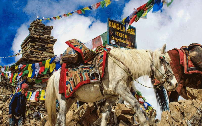 Nar Phu Valley Trek Tour