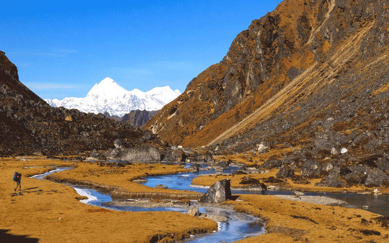 Langtang Valley Trek Tour