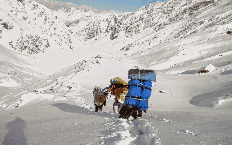 Gosaikunda Circuit Trek Tour