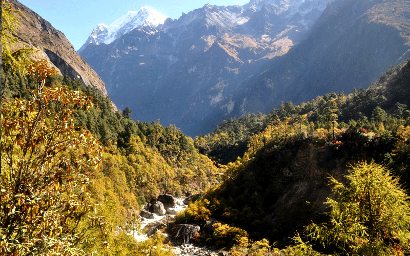 Kanchenjunga Base Camp Trek Tour