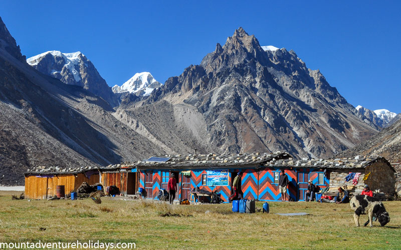 Kanchenjunga Base Camp Trek Tour