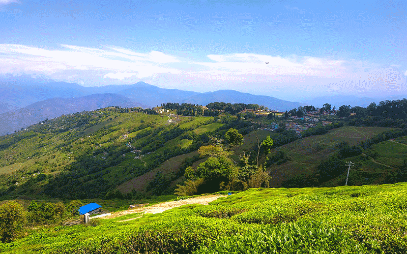 13 Nights - 14 Days Kanchenjunga Trek Tour