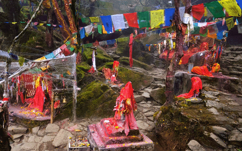 13 Nights - 14 Days Kanchenjunga Trek Tour