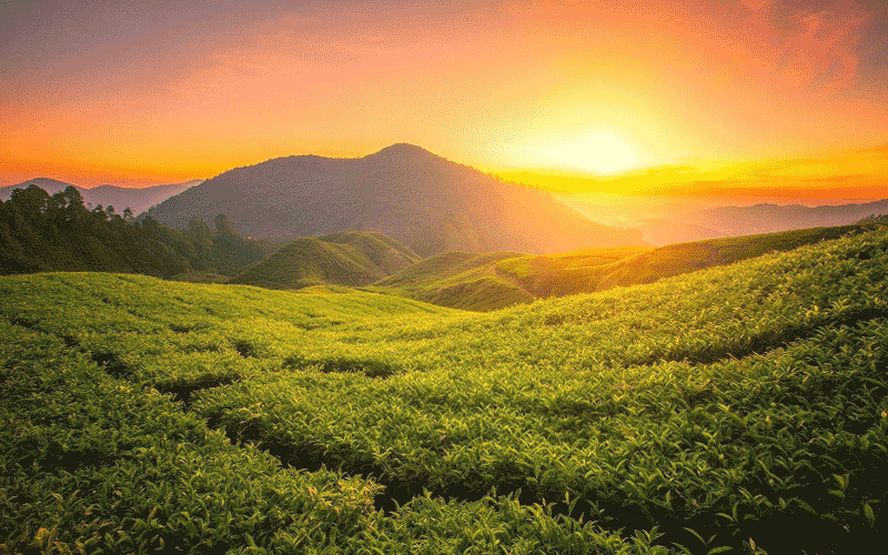 13 Nights - 14 Days Kanchenjunga Trek Tour