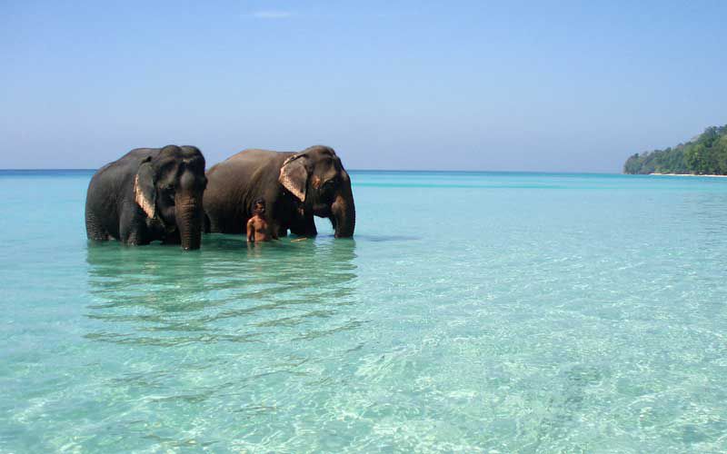 4 Nights - 5 Days Andaman Package