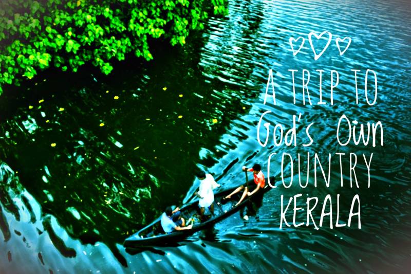 Exotic Kerala - 3 Nights 4 Days