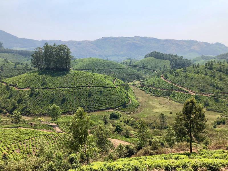 Wild Kerala - 4 Nights 5 days