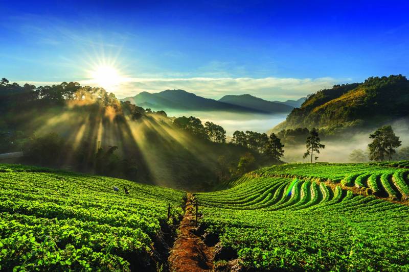 COORG LUXURIOUS HONEYMOON