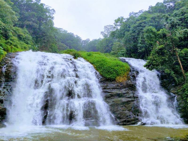 Junglesafari - Coorg & Wayanad
