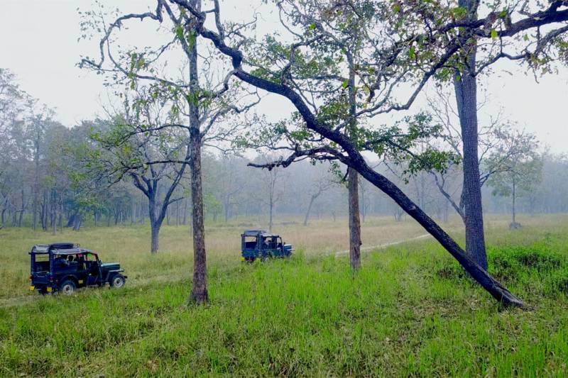 Junglesafari - Coorg & Wayanad