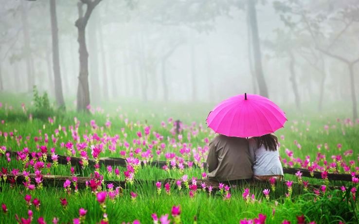 SOULMATE SPECIAL WAYANAD & COORG