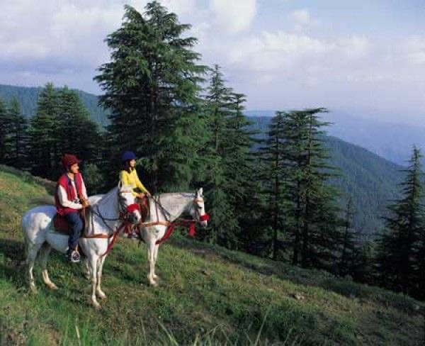 6 Nights 7 Days Tour Package in Kashmir
