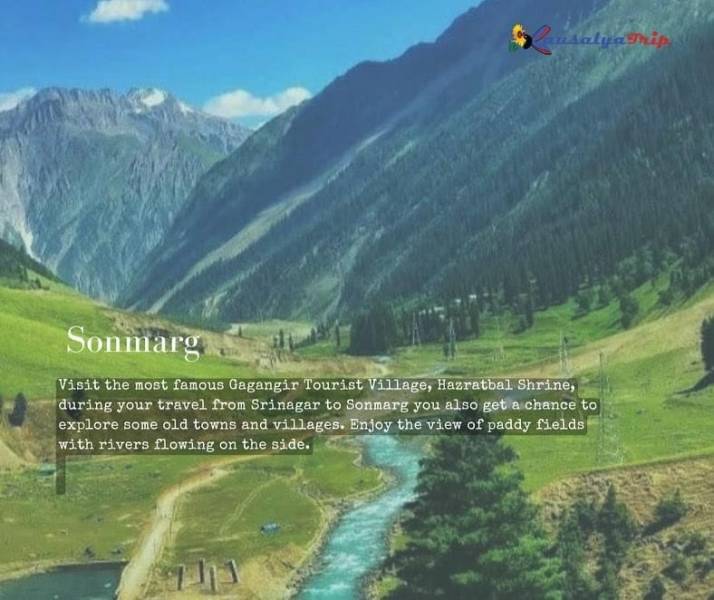 Kashmir Delight 5 Nights 6 Days tour Package