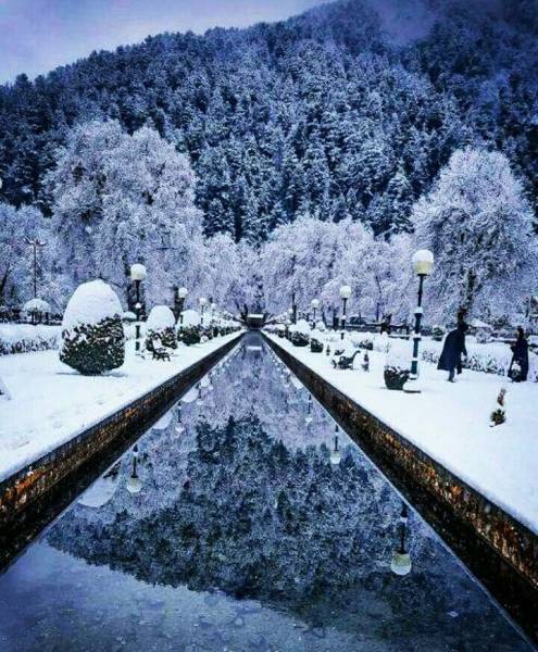 Kashmir Delight 5 Nights 6 Days tour Package