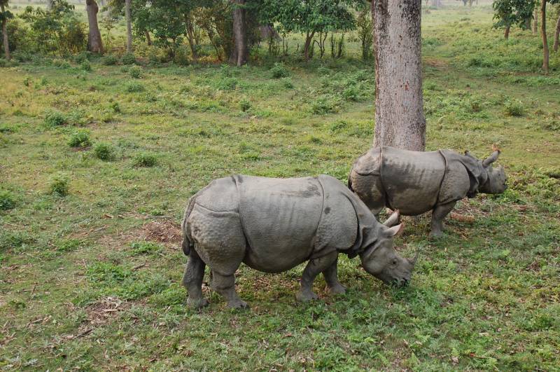 7 Night 8 days Kathmandu - pokhara-Chitwan