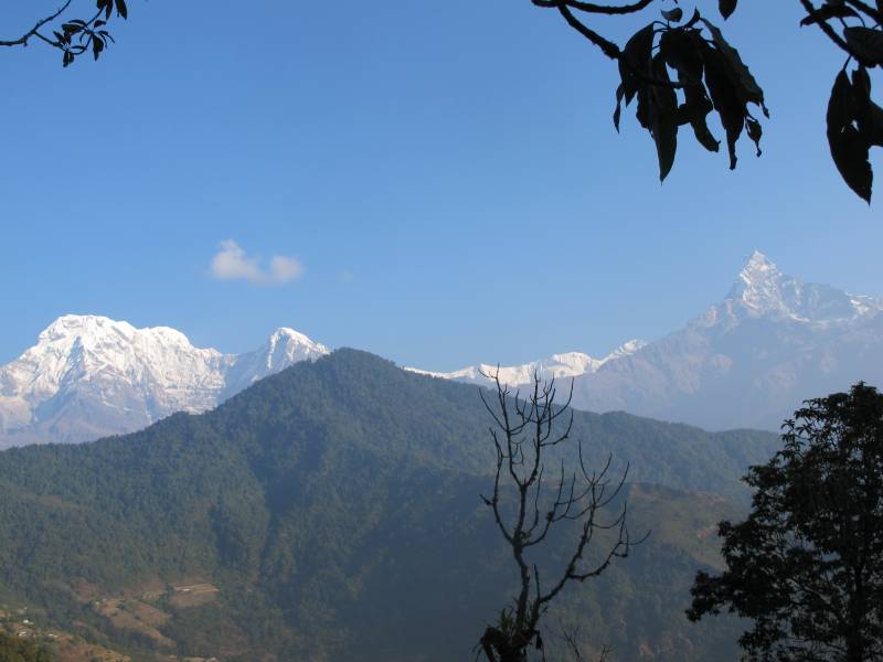 Mardi Himal Trekking Tour