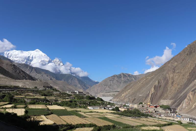 Tiji Festival Trekking Tour