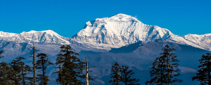 Mohare Danda Trek Tour