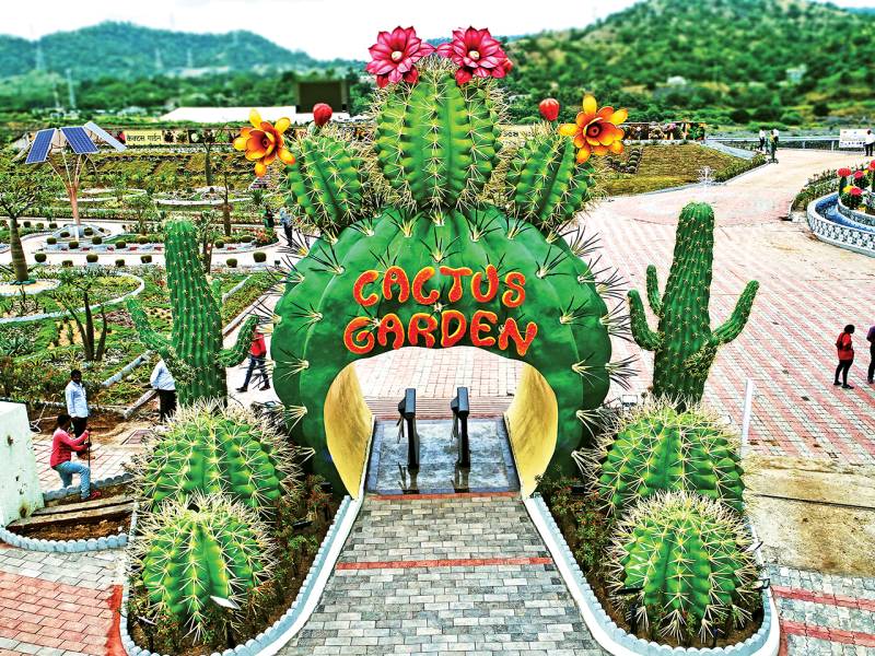 Tent City - Statue Of Unity 1 Night 2 Days Package