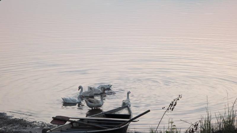 2 Day 1 Night Pawna Lake Camping