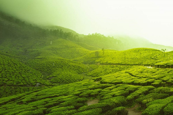 4 nights 5 Days Kerala Tour Package