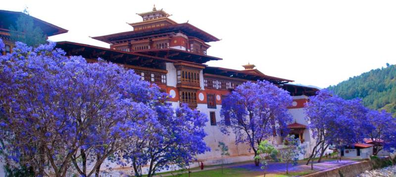 5 Days Paro - Thimphu - Punakha Tour