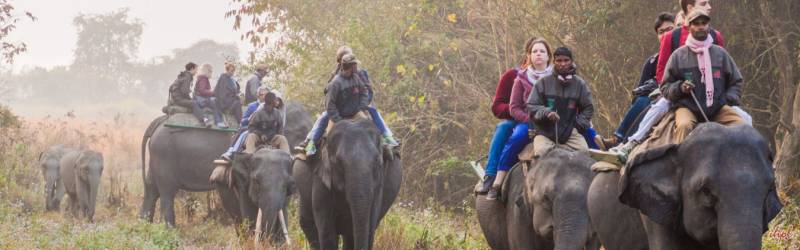 28 Nights - 29 Days Wildlife Tour Of India - Nepal