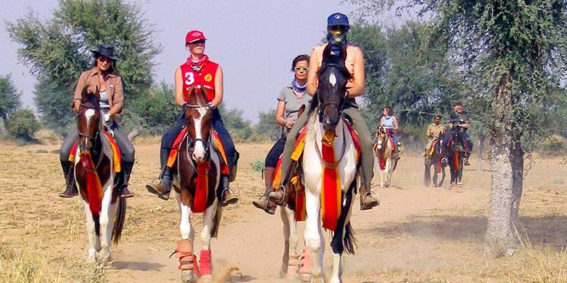 11 Night - 12 Day Horse Safari In Rajasthan