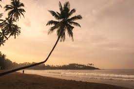 GOA PACKAGE 4 NIGHTS 5 DAYS