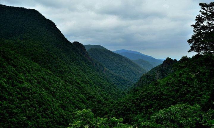 3 Nights & 4 Days Bhitarkanika Group Tour