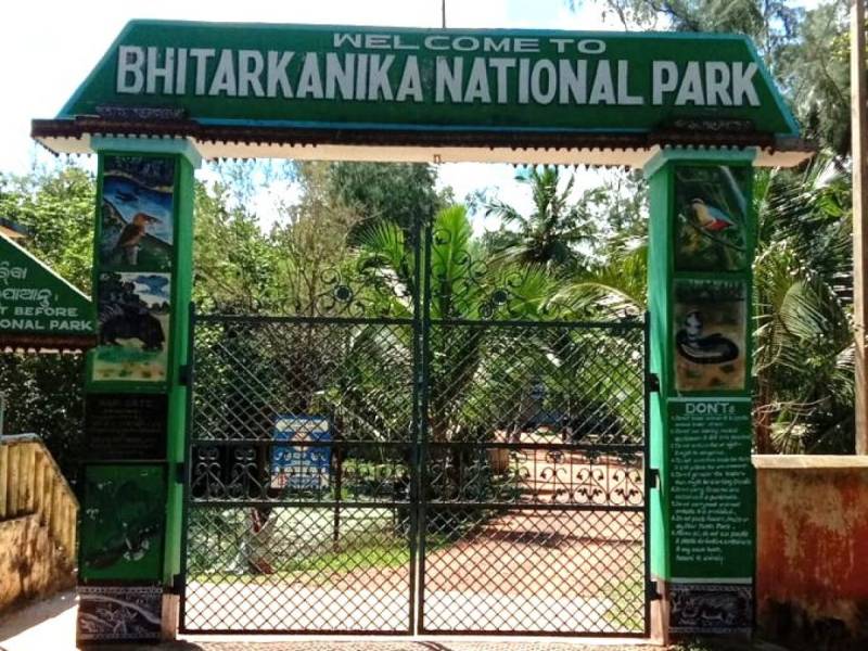 3 Nights & 4 Days Bhitarkanika Group Tour